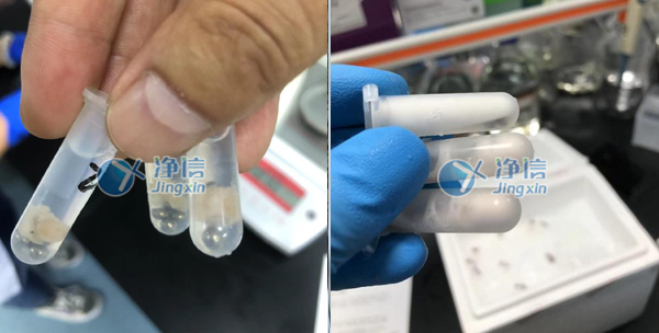 多樣品研磨儀對腸組織前處理分析的實驗效果