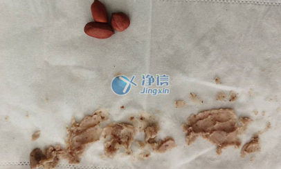 多樣品研磨儀對花生樣品的研磨效果