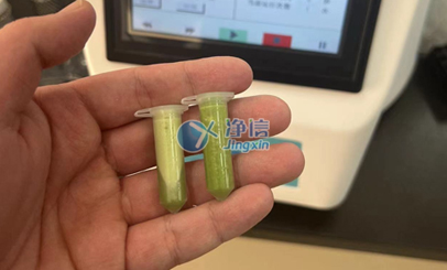 水稻葉片樣品前處理研磨實驗效果