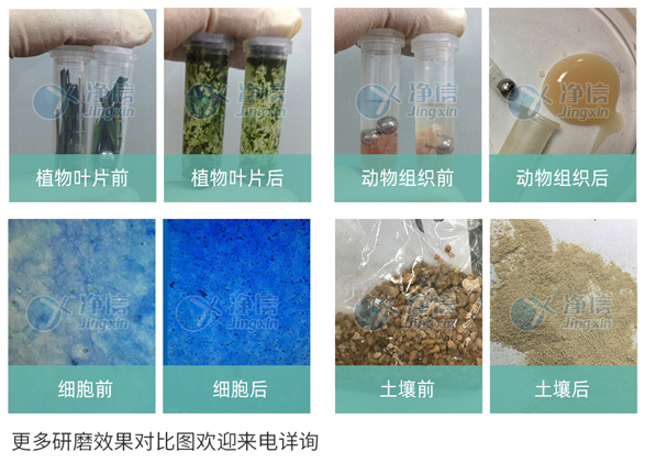 真空冷凍研磨儀樣品研磨效果圖