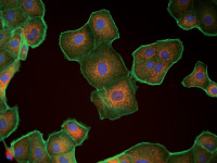 1691041434179778.jpg ede92c85aa95c3cb8ff022378b3d0484.jpg