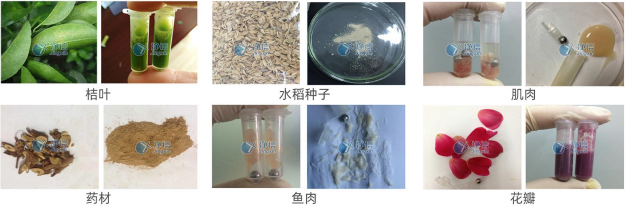 1721721683123295.png 高速組織研磨儀樣品研磨效果圖.png