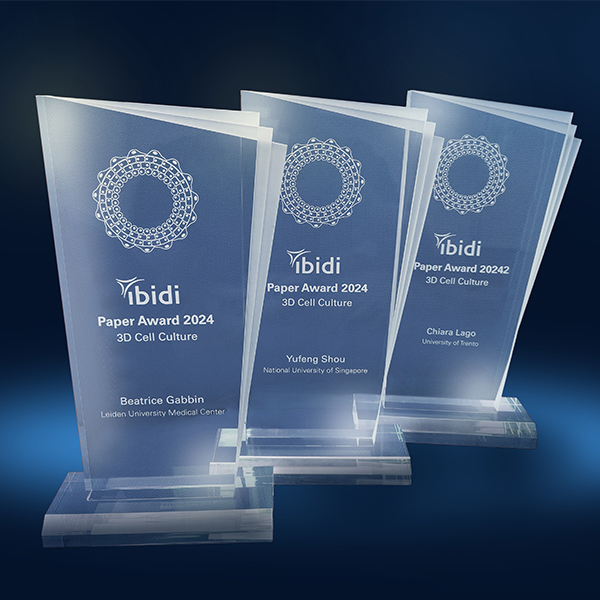 1722327173541583.png 775315708384.png