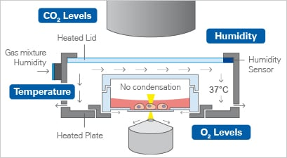 1734578776153859.png 1712988e981b0836ce69d35219bfb351.png