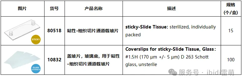 1740473391164051.png 1740473391164051.png