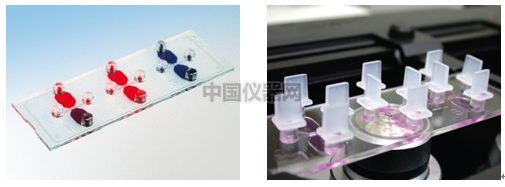 易必迪ibidi細胞趨化性試驗 u-Slide Chemotaxis 2D 圖1.png