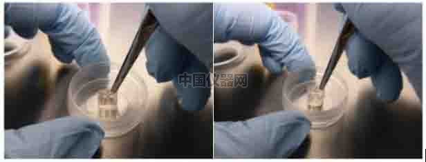 傷口愈合/細胞劃痕實驗新方法-如何劃出筆直均一的劃痕