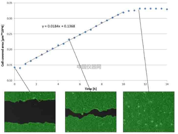 傷口愈合／細胞劃痕實驗新方法－如何劃出筆直均一的劃痕