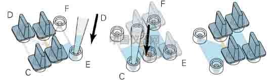 細(xì)胞趨化實(shí)驗(yàn)新方法（二）--實(shí)時(shí)觀察細(xì)胞動(dòng)態(tài)