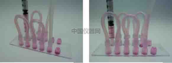 探討流體剪切力對細胞活動的影響--流體剪切力對細胞吸收人造細胞器的影響