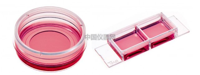 通道載玻片--受牙齦菌感染的Ca9-22細(xì)胞中IL-33免疫熒光染色實(shí)驗(yàn)