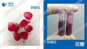 多樣品組織研磨儀 型號:Tissuelyser-96