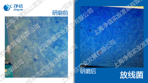 冷凍研磨儀 型號:JXFSTPRP-CL-24