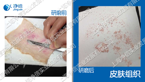 多樣品組織研磨機(jī)-48