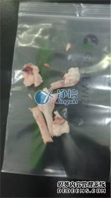 多樣品組織研磨機研磨兔子骨頭-上海凈信