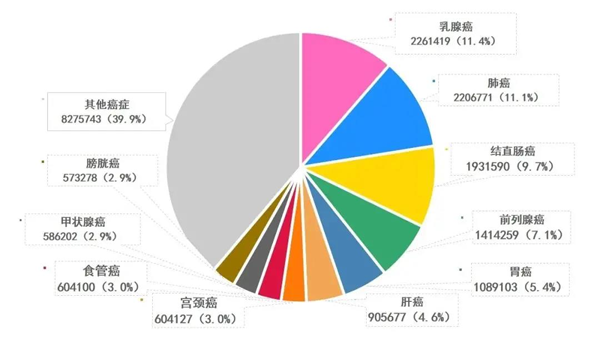 新發癌癥類型、人數及占比