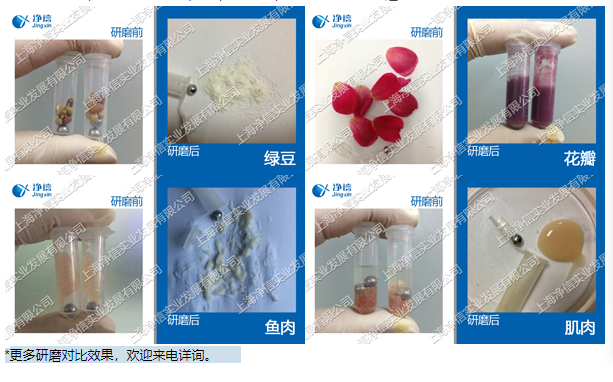 三維離心冷凍研磨儀樣品研磨效果圖