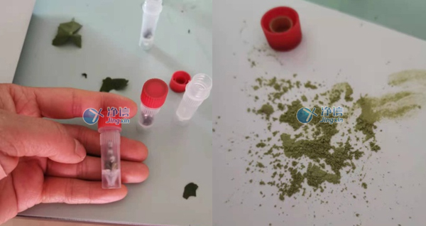 樣品研磨效果圖